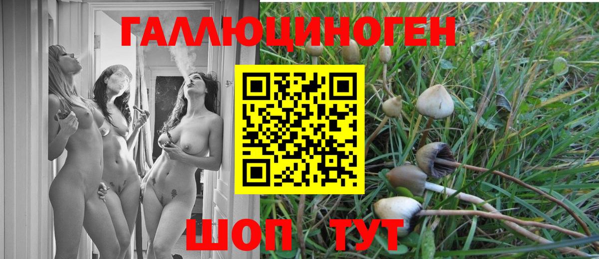 Галлюциногенные грибы GOLDEN TEACHER  Вход с VPN  цены   Нижний Тагил 